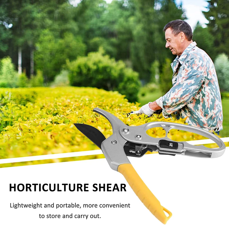 

Universal Gardening Pruning Shears Flower Fruit Tree Pruning Shears Bonsai Flower Grafting Segmented Shears Orchard Picking Tool