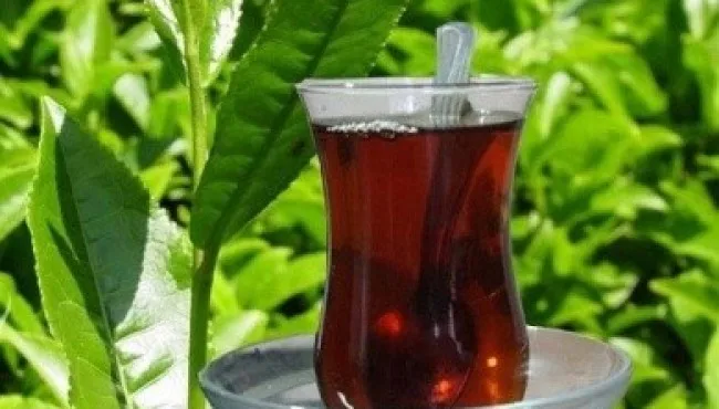 Классический чай кайкур альтканбас, 200 г от AliExpress RU&CIS NEW