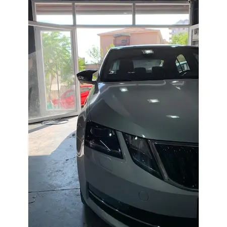 Зеркальный чехол для SKODA OCTAVIA 2013 2019 аксессуар яркая черная летучая мышь с