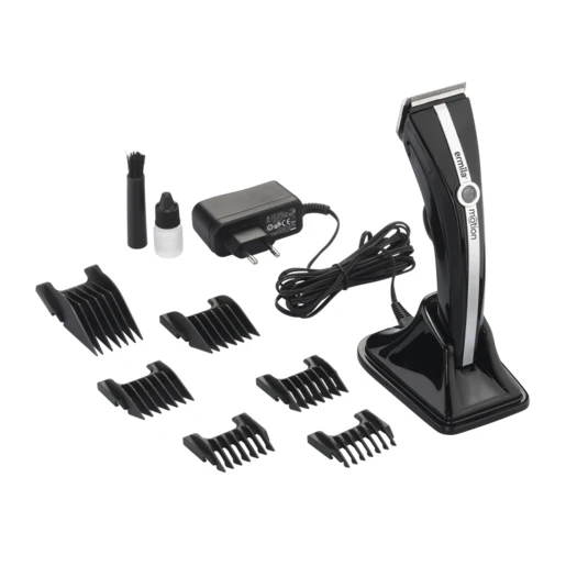 Рисунок 2 - Erмила движение 3