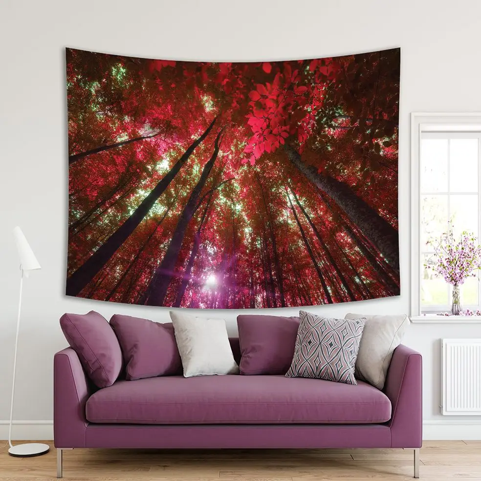 

Tapestry Into the Forest Tall Trees Sun Shining Through Leaves Foliage Branches Wild Nature Photo Red Green Brown