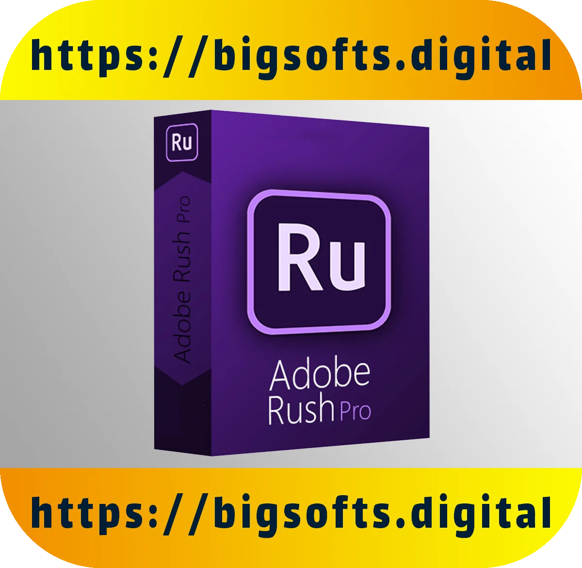 

{Adobe premirush CC 2021}