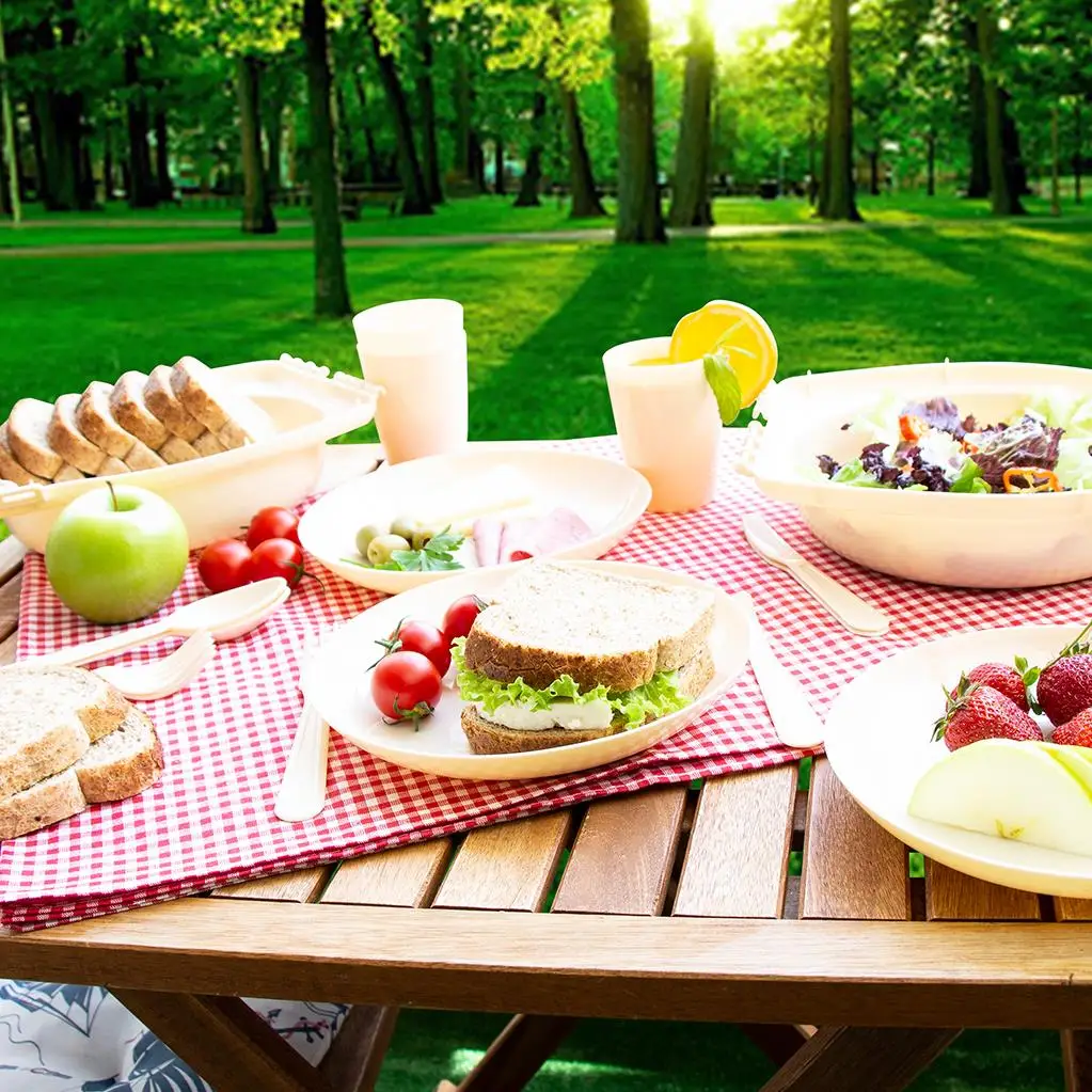 

Picnic Service Set - 32 Pieces Double Lid Lunch Box plastic storage container sturdy unbreakable food kitchen tools and utensils