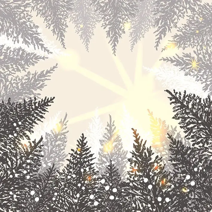 

Curtain Winter Pine Trees Forest Snowflakes Sun Rays Illustration Monochrome Modern Nature Themed Artwork