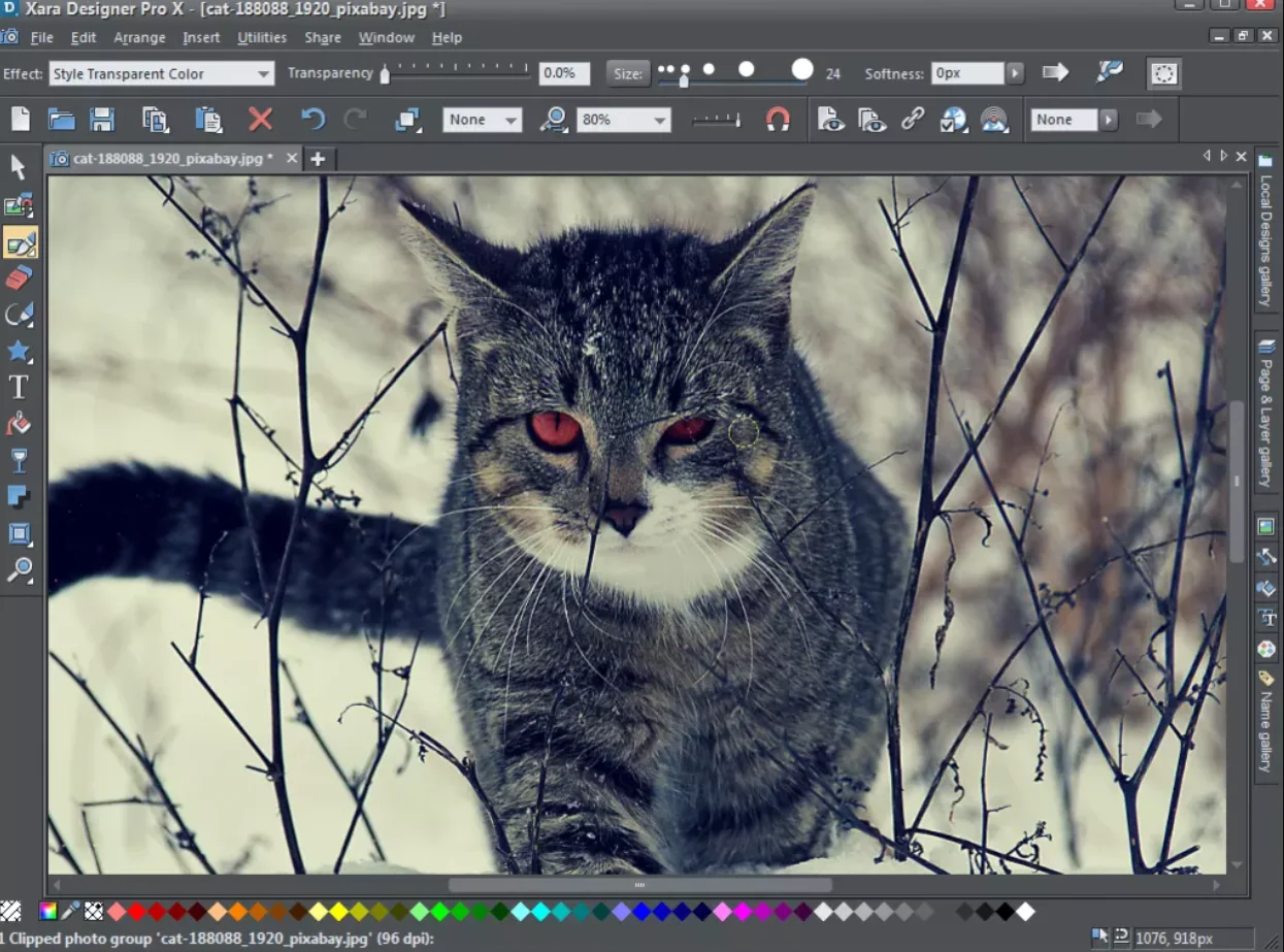 

MAGIX Xara Designer Pro X 2020
