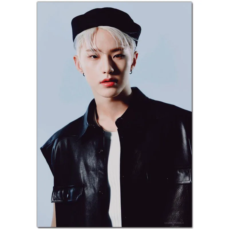 Холщовый плакат HOSHI Seventeen 30x45 см 40x60 искусство ткань настенный печать шелковая