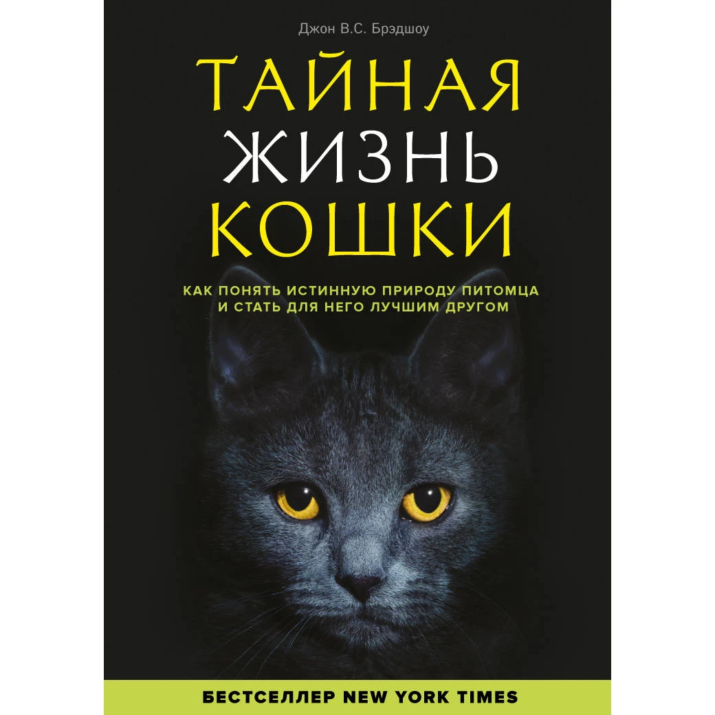 Тайная жизнь кошки. Как понять истинную природу питомца и стать для него лучшим