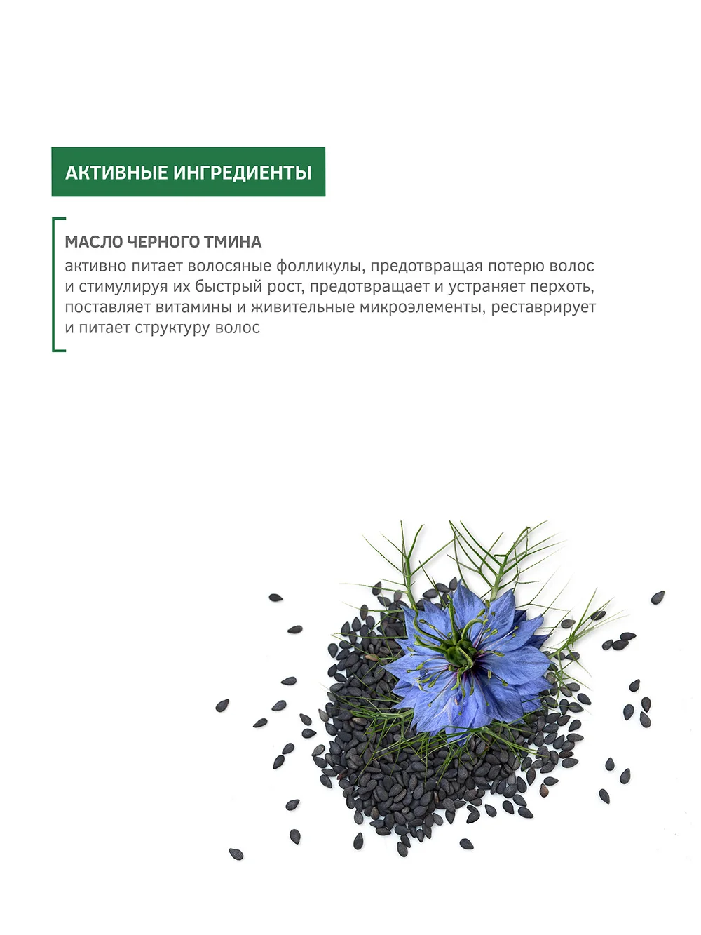 Укрепляющий шампунь Zeitun &quotМагия черного тмина&quot с маслом дамасского тмина. 250