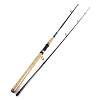 fishing lure rod 2 1m 3m 2 sections high carbon spinning feeder tackle carp fly rods carp rocky fishing rod tackle holders