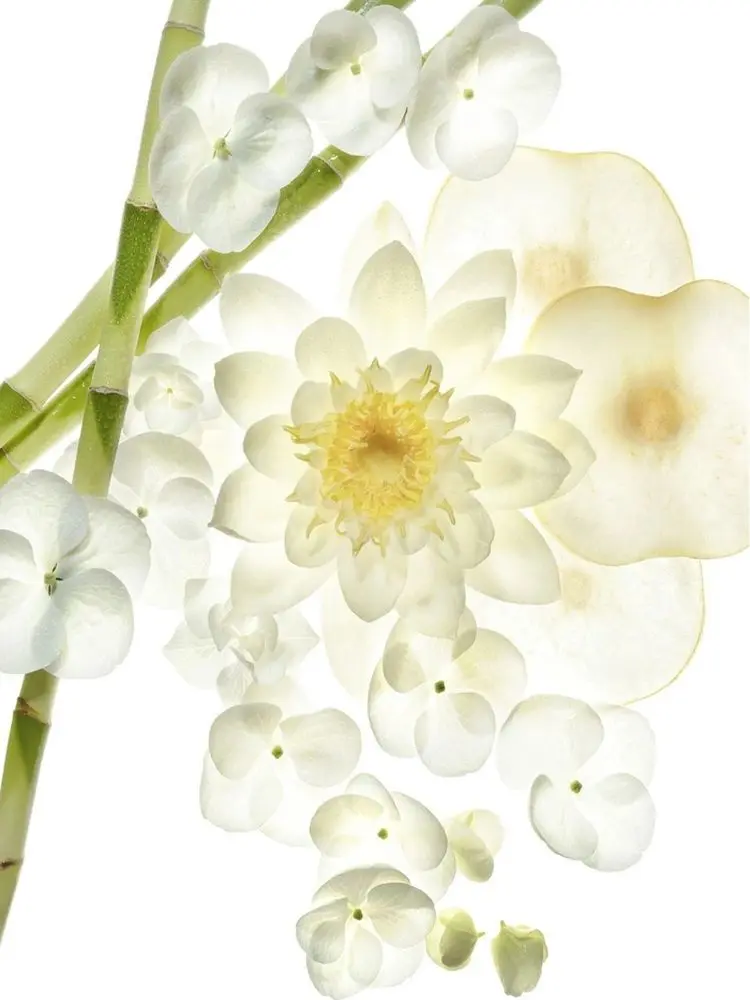 Bvlgari Omniа Crystalline 65 ml Булгари Духи Женские |