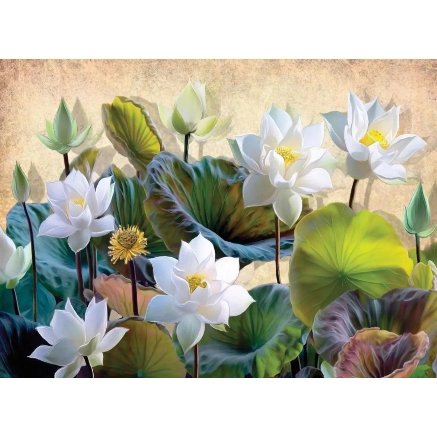 

Nova Puzzle 41119 White Lotus Flowers 1000 Piece Jigsaw-White and Green Water Lily Flowers Artistic Cardboard Adult Jigsaw