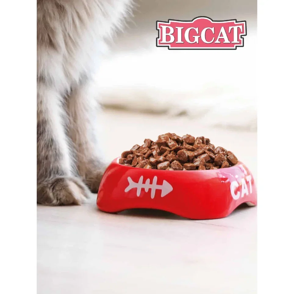 Зоогурман / Корм консервированный Big Cat для кошек 350г х 12 шт Мясное ассорти