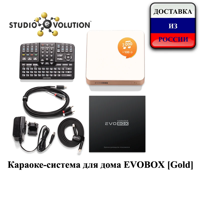 Караоке система для дома EVOBOX [Gold]|Караоке и микшерные пульты| |