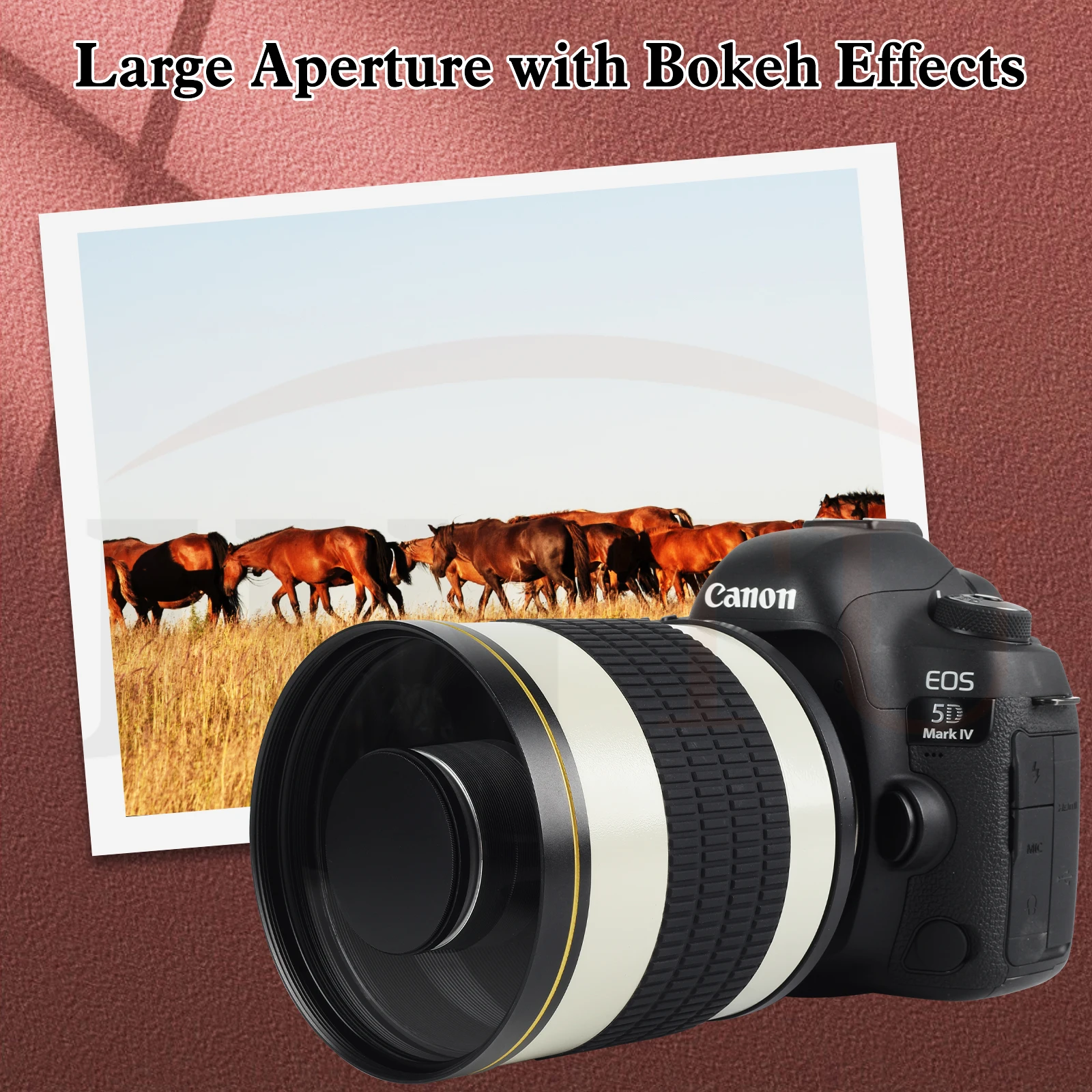 Телеобъектив зеркальный 500 мм f6,3 MF для OLYMPUS Micro 43 PEN E-P1 E-P2 E-P3 E-P5 E PL1 PL2 PL3 PL5 PL6 PL7 PM1 PM2 OM-D E-M5 (art.: 7a144447e) - 7a144447e