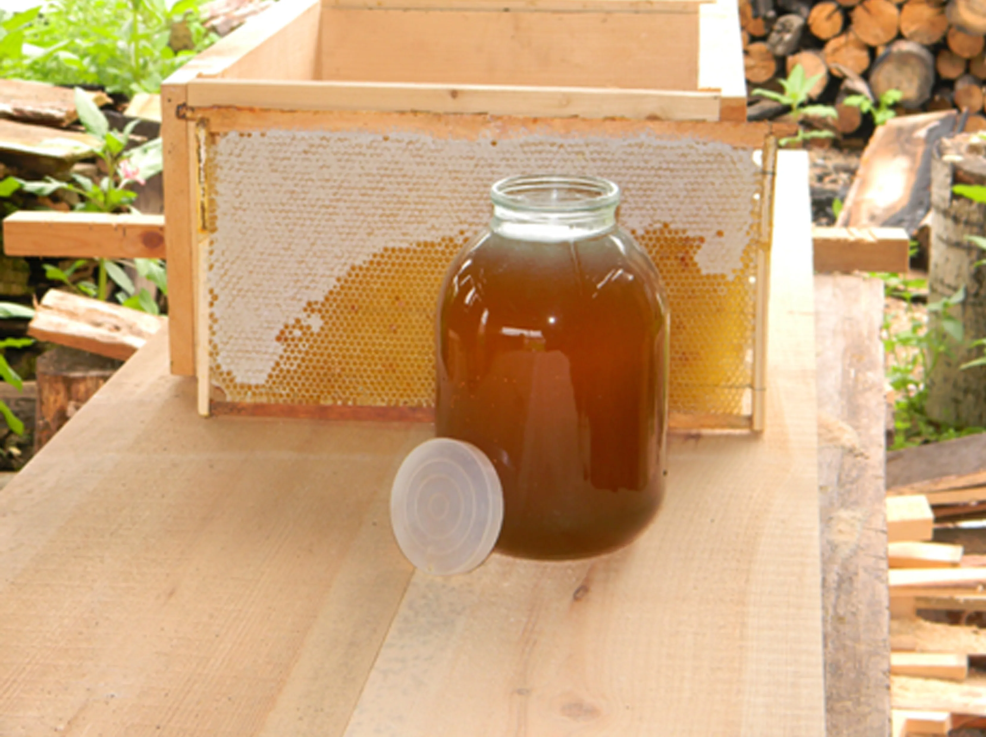 Honeycomb, natural floral, grass, delicious honey in honeycomb