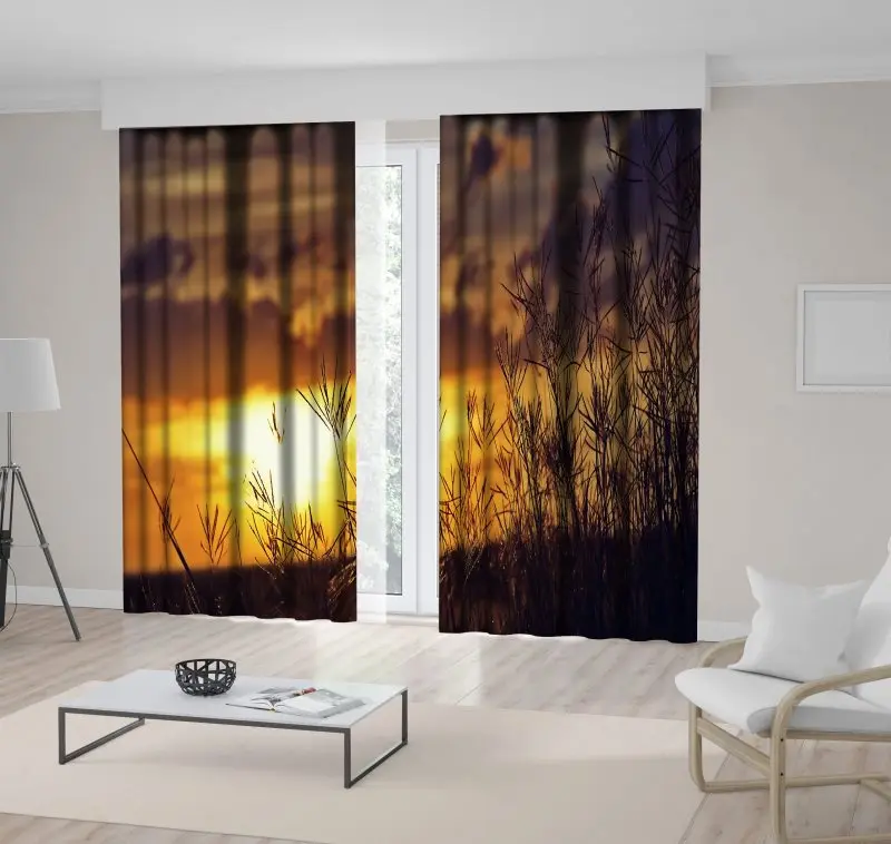 

Curtain Grass Background with Romantic Sunset Cloudy Sky Wild Nature Peaceful Evening Scenery Yellow Orange Brown