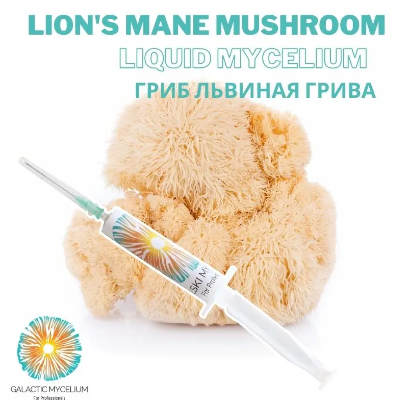 

Lion's Mane Mushroom Liquid Culture 5 cc Liquid Syringes Hericium Erinaceus Liquid Mycelium Gourmet Mushroom Syringes