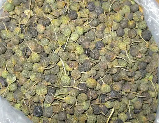 

Rhamnus catharticus Buckthorn berry Natural Dried Tea Herb 10-400 GR Free Shipping