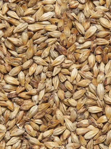 Солод ячменный венский (Soufflet) от 1 кг |