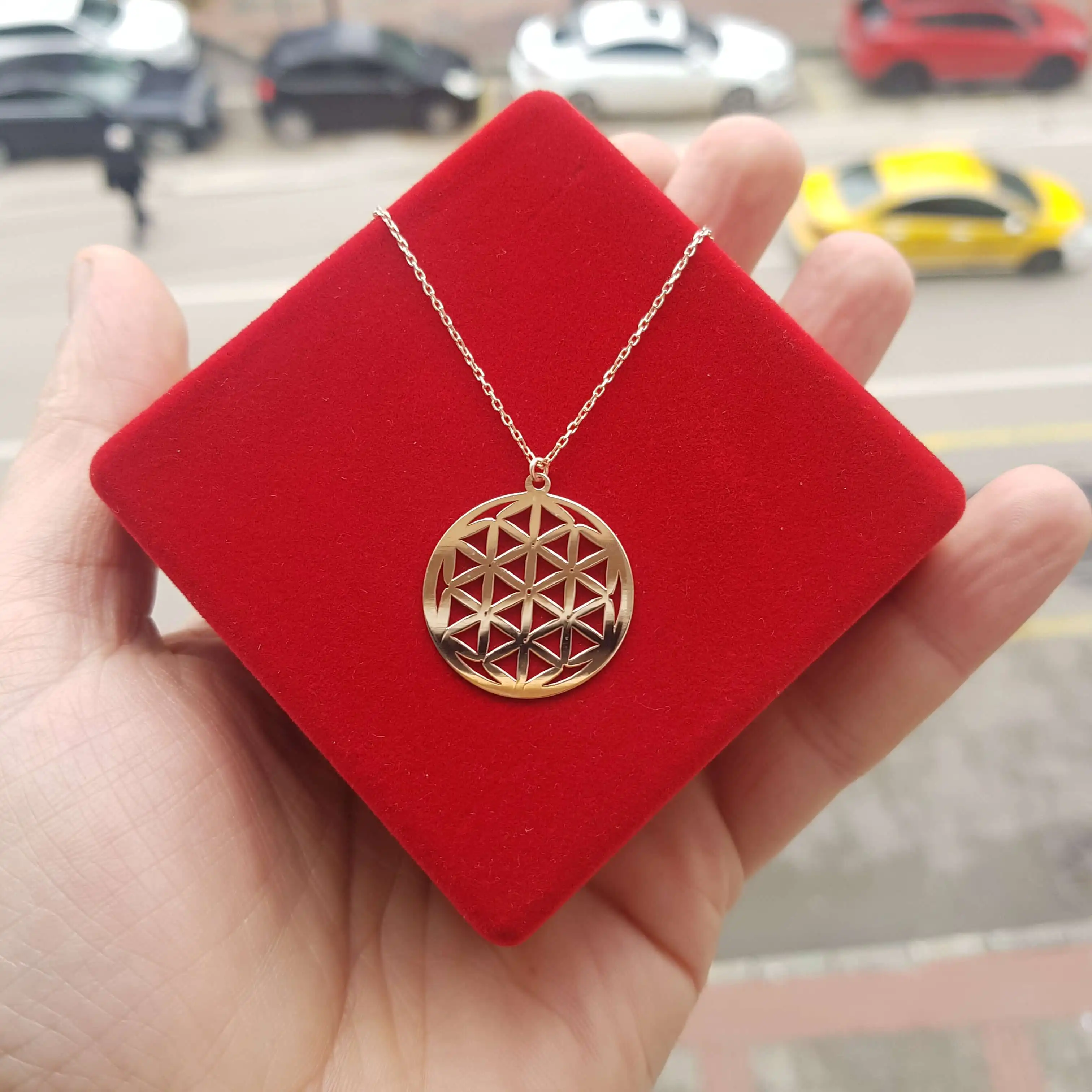 Collier en argent Sterling 925 pour femmes, pendentif de luxe, fleur de vie, pierre de feuille, cadeau d'anniversaire, chaîne élégante, Cool