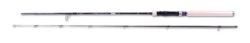 Удилище спиннинговое DAIWA Team Daiwa TD 802 MLFS- AR (длина 2.44м тест 5 - 15гр.) | Спорт и