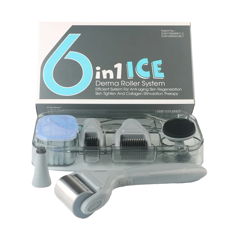 

6 IN 1 ICE DERMA ROLLER SET MICRONEEDLE SKIN CARE WITH ICE ROLLER & TRAVEL CASE