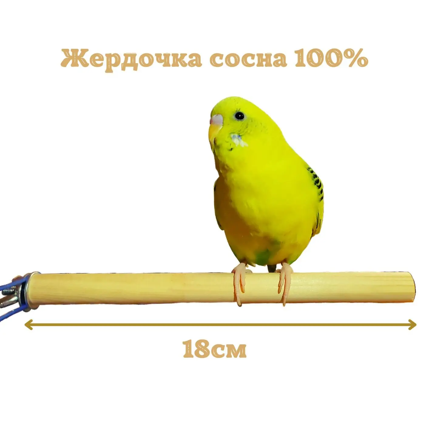 Игрушка для птиц Подставка для попугая Toy for birds ЗООМАГ (art.: 3920ba3bf4cb5) - 3920ba3bf4cb5