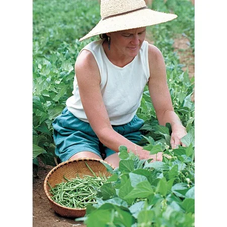 

Ball Valve 16x16mm 100 PCs Drip Irrigation Coupler 371109584