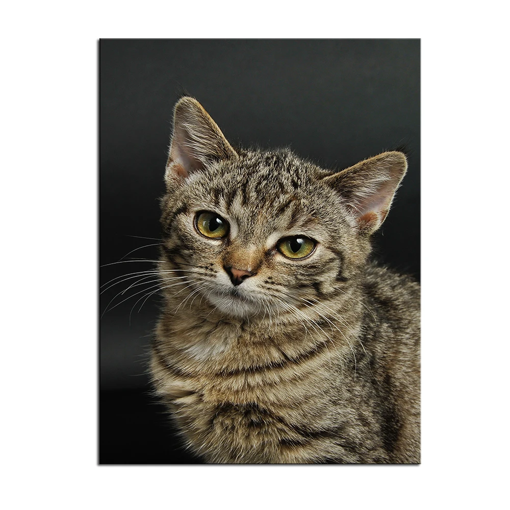 Большой размер печать картина маслом настенная живопись животное фотография