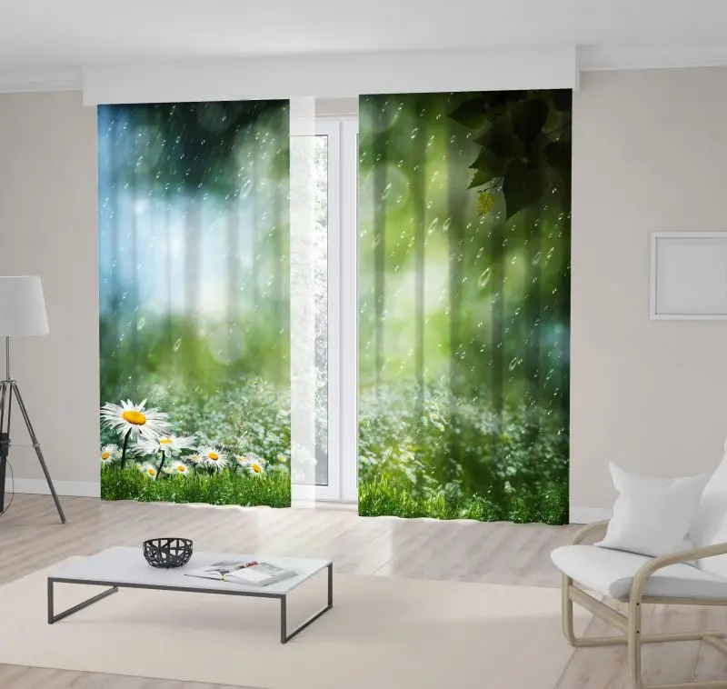 

Curtain Daisy Flowers Spring Garden in the Rain Nature Romantic Rainy Day Scenery Green White