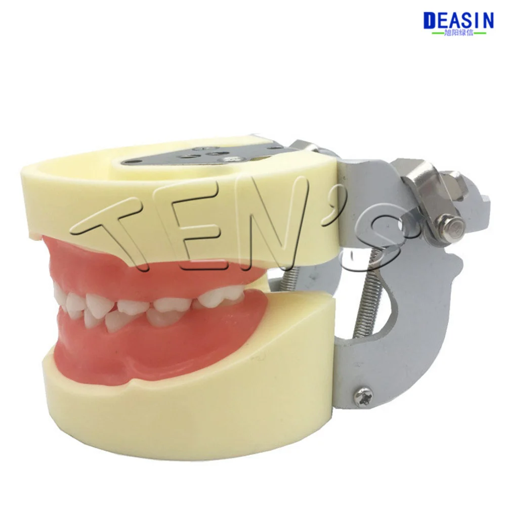 

2019 new Dental oral teaching model child preparation model deciduous teeth preparation model removable teeth