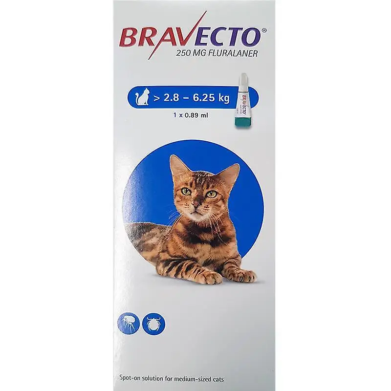 BRAVECTO CAT SPOT ON 1 PIPETA MSD 250 мг 2,8-6,25 кг