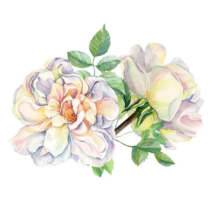 

Curtain Rose Branch with Flowers and Leaves Romantic Summer Blossom Vintage Decor Art Yellow Green
