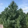 Изображение товара 2