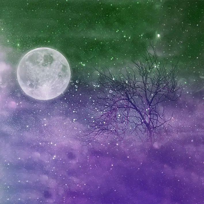 

Curtain Tree with Bare Branches and Night Sky Full Moon Stars Surreal Fantasy Artwork Printed Blue purple White