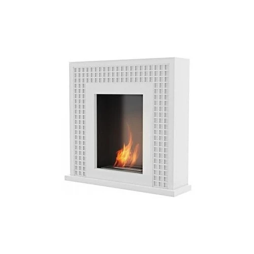 Outdoor Bio fireplace kratki January |