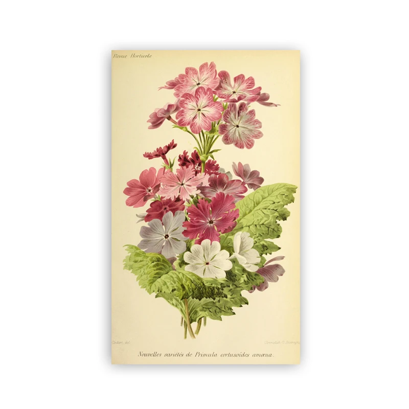 

Yoolife Античные цветы на холсте