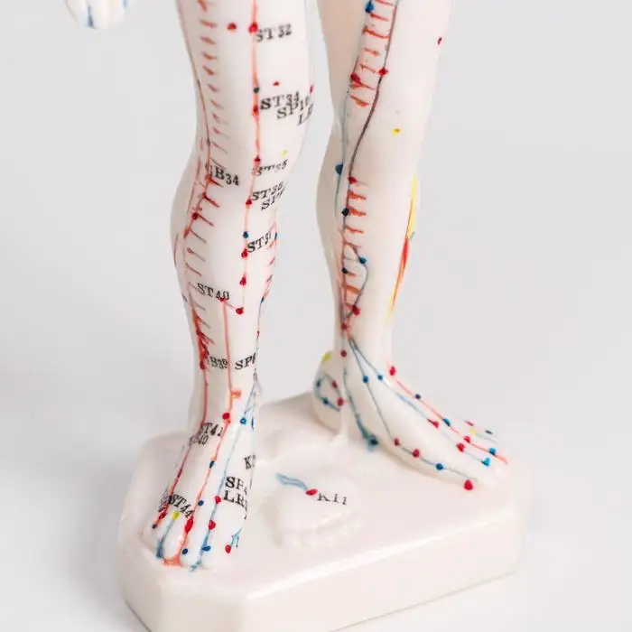 Модель для акупунктуры мужчина 26 см |