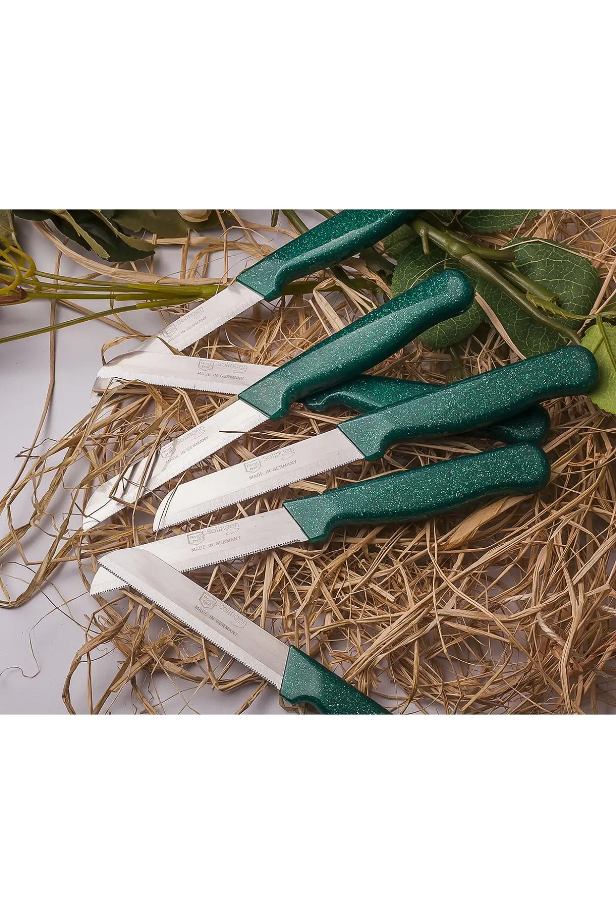 

Solingen Serrated 1 Quality Fruit and Vegetable Knife 6 Pieces