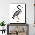 Черная Головка Heron печать Винтаж Heron Птица Рисование стены Искусство на холсте животные плакат Настенная картина для гостиной Декор