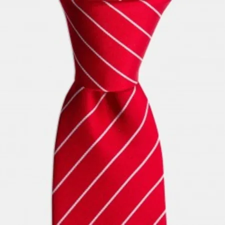 

Red White striped silk tie 67825919