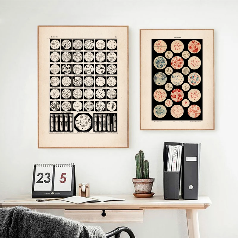 Микро биология бактерии микробов Художественная печать старой медицины плакат