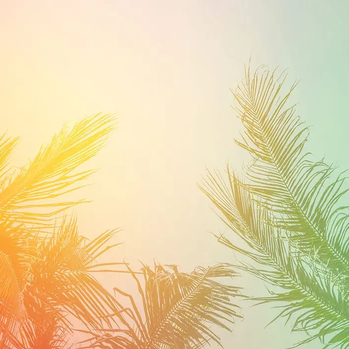 

Curtain Coconut Tree Branches Leaves in Retro Colors Countryside Ocean Beach Nature Photo Green Orange