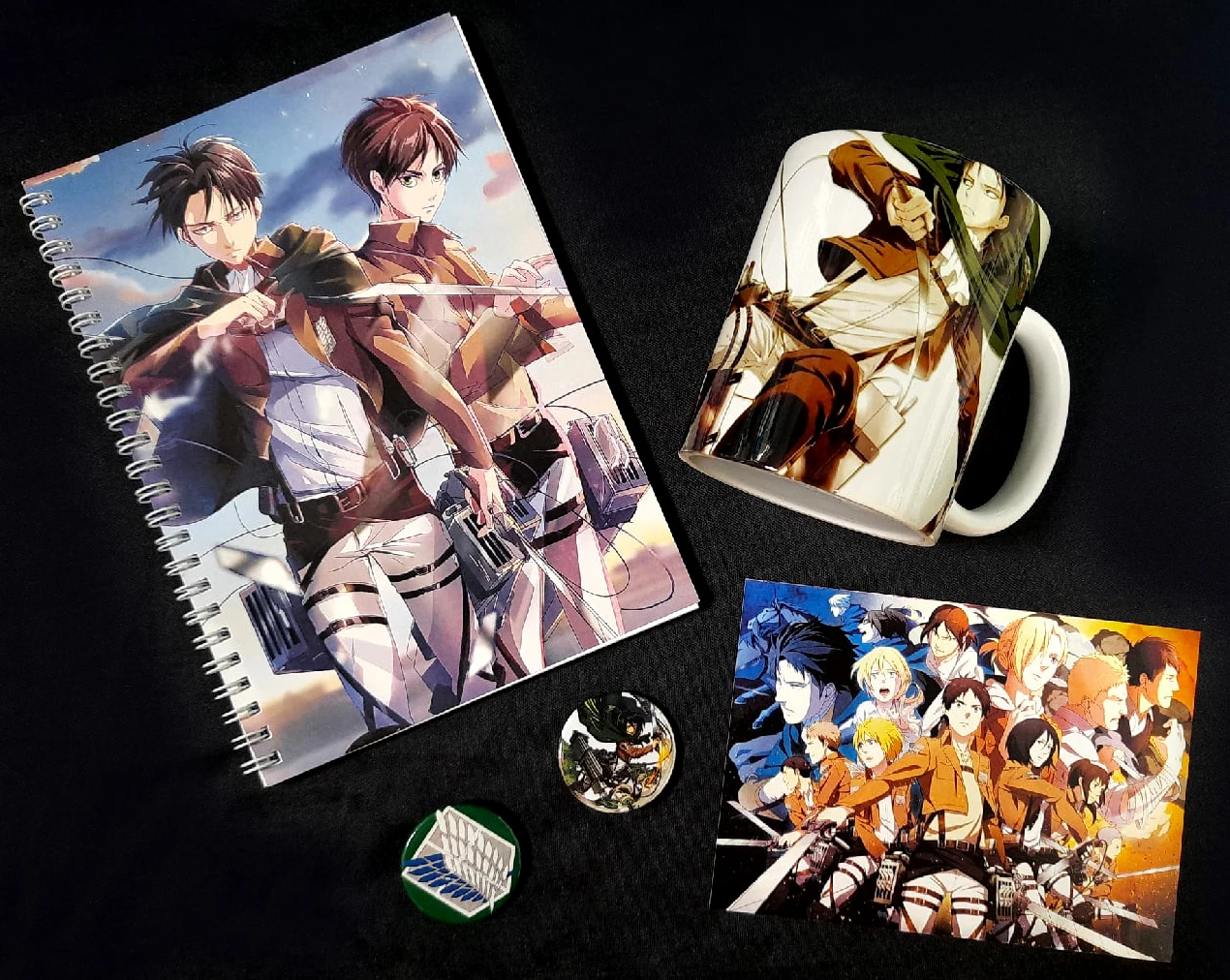 Фандомный бокс Атака Титанов Attack on Titan