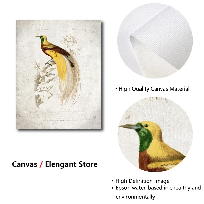 Винтажный Печатный постер с изображением птицы в стиле ретро настенная живопись