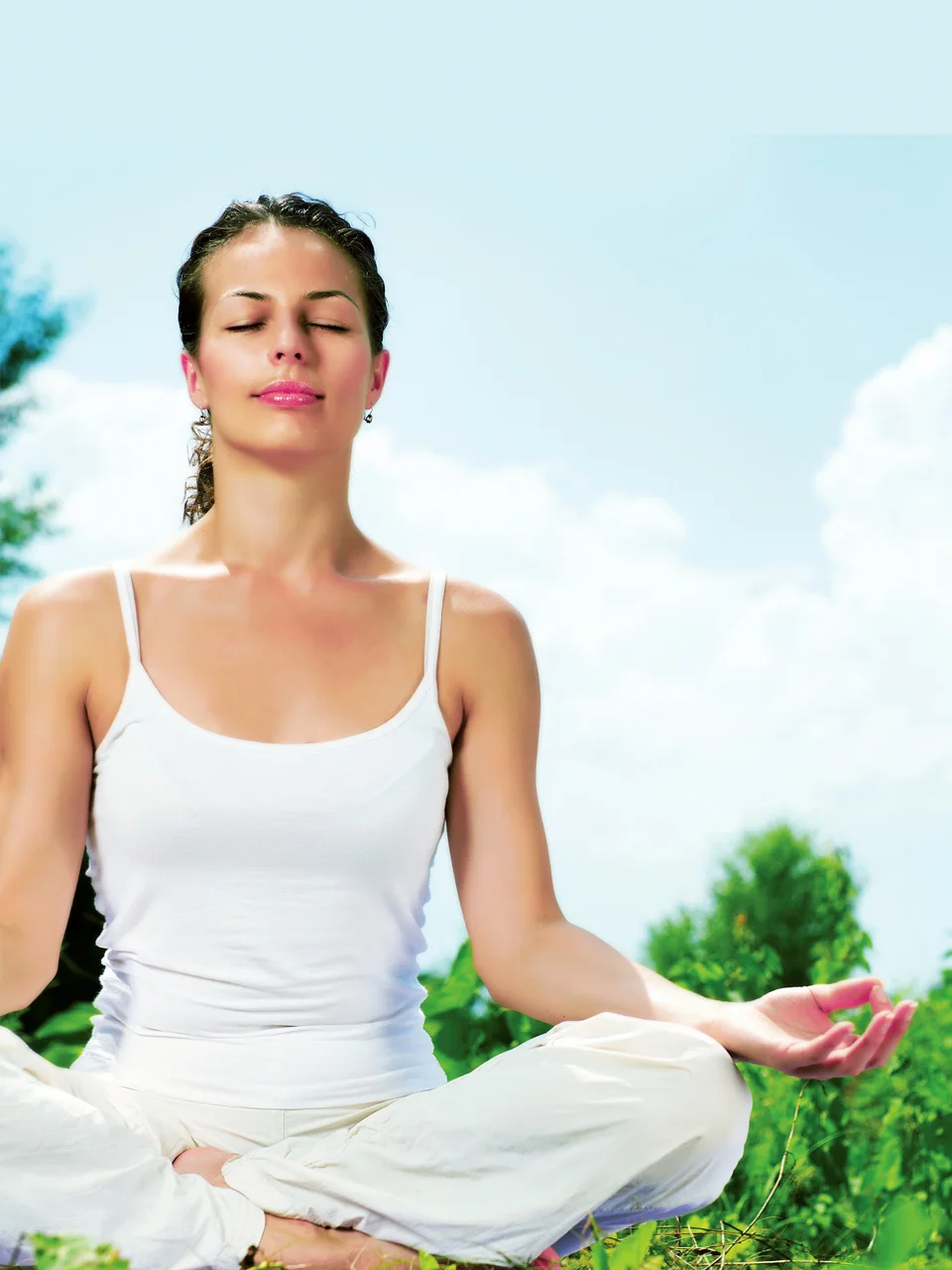 Премиум модал и хлопок нижнее белье для женщин Camisoles жилет майка без рукавов