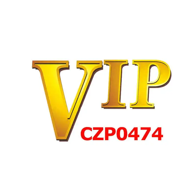 Восьмиугольник VIP CZP0474 сделанные на заказ фото медальоны подвеска ожерелье для