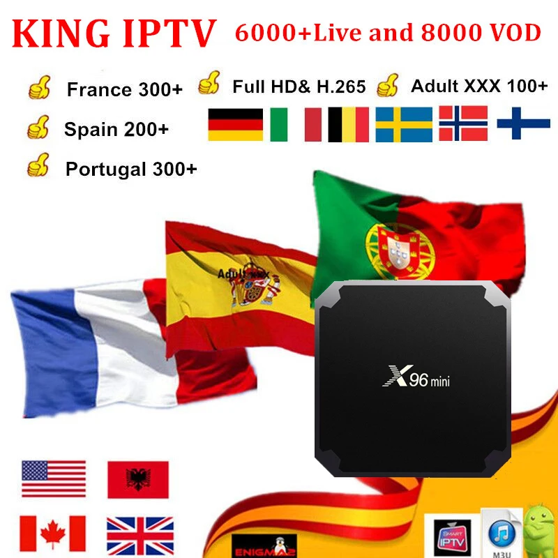 Французский IP tv подписка для Франции Великобритания Немецкий Арабский голландский Швеция французский Польша Португалия Smart tv Android box IP tv M3U X96 Mini