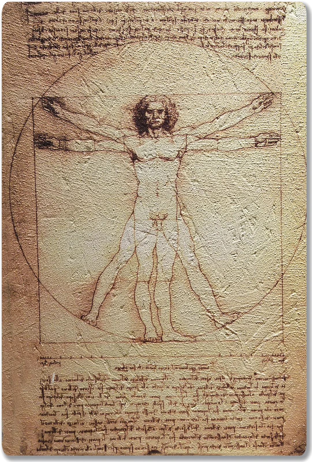 Vitruvian man leonardo da vinci. леонардо да винчи. рисунок леонардо да винчи витрувианский человек. витрувианский человек леонардо да винчи. картина леонардо да винчи витрувианский человек.