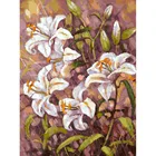Нормандские лилии Живопись по номерам на холсте 30*40. Белоснежка. 180-AS